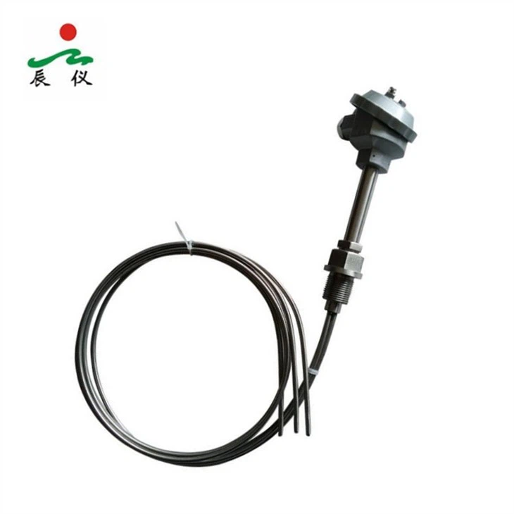 Acid Proof Pt100 Temperature Sensor-1